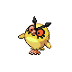 Hoothoot