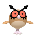 Hoothoot