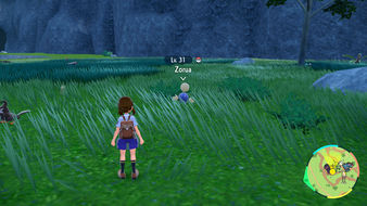 Beispiel von einem Zorua in Pokémon Karmesin und Purpur