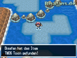 Der Ausflug zu Route 17 bringt unter anderem TMs&nbsp;…