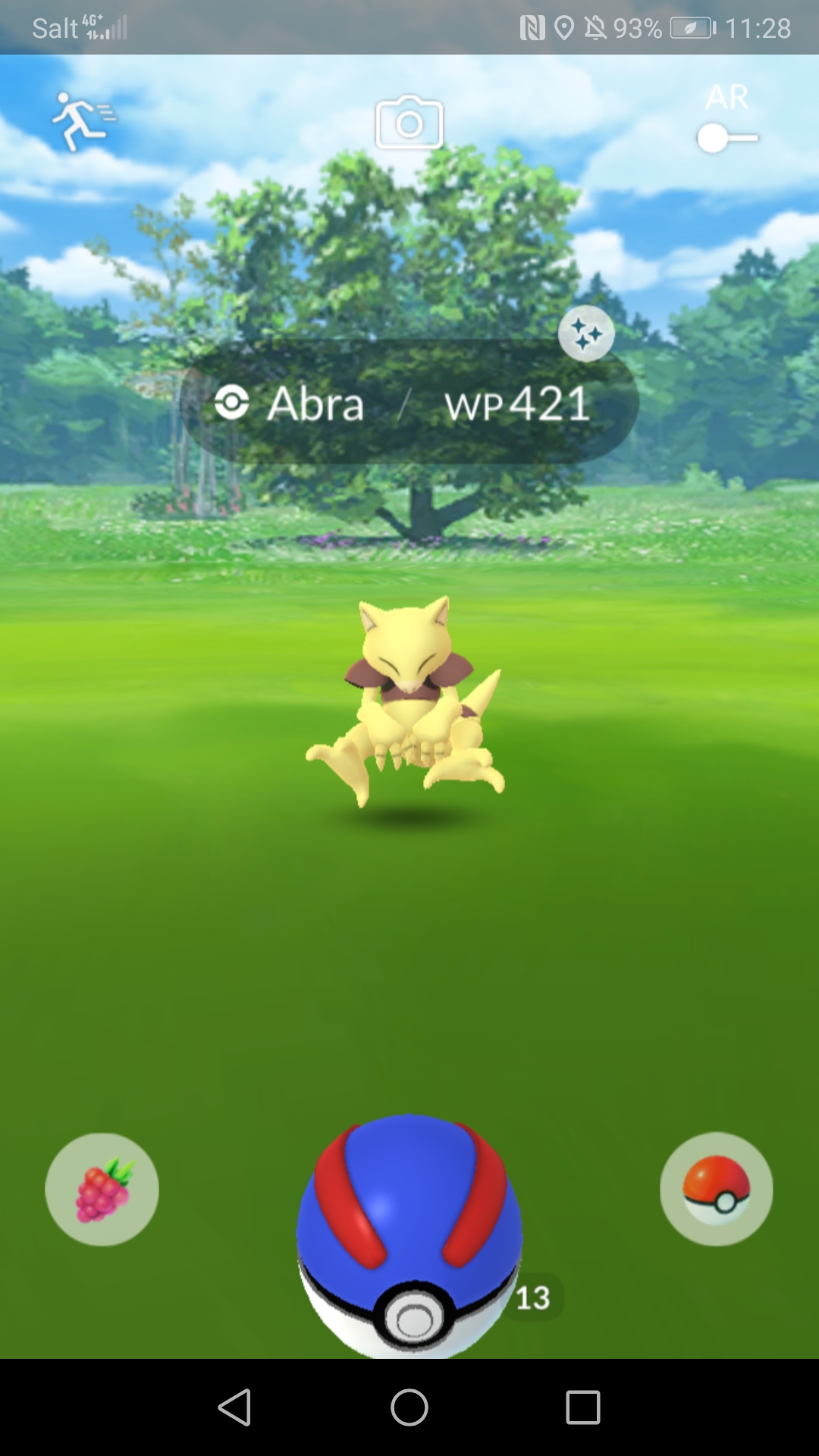 GO-Schnappschuss GO-Schnappschuss