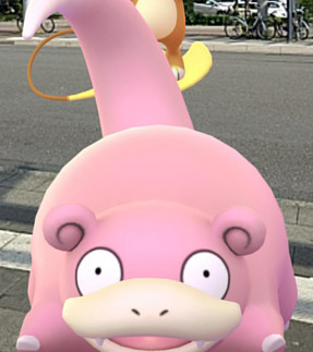 GO-Schnappschuss GO-Schnappschuss