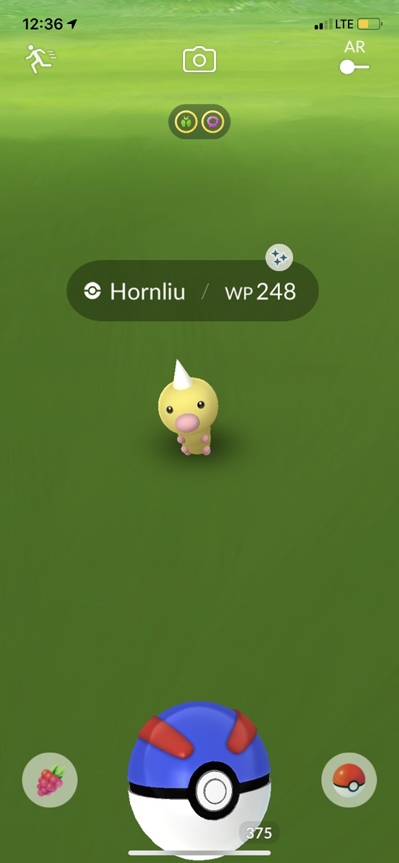 GO-Schnappschuss GO-Schnappschuss