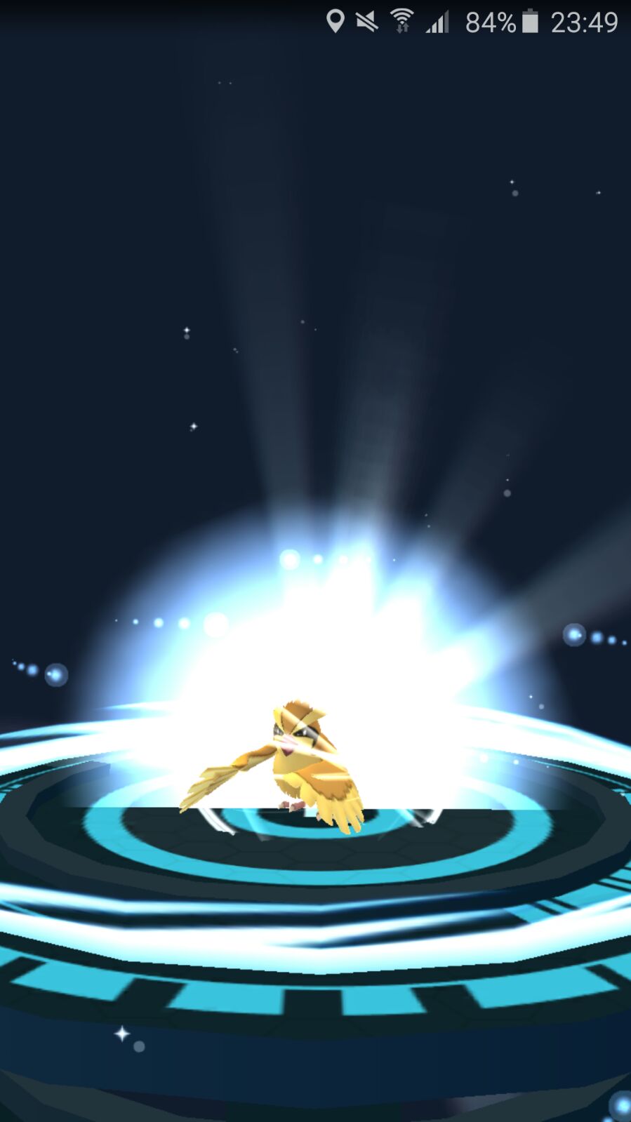 Taubsi entwickeln Taubsi entwickeln