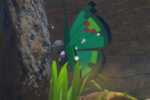 Beispielfoto für Vivillon