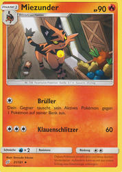 Teams sind Trumpf 21/181 Miezunder