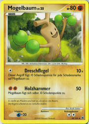 Majestätischer Morgen 48/100 Mogelbaum