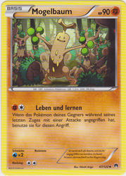 TURBOfieber 67/122 Mogelbaum