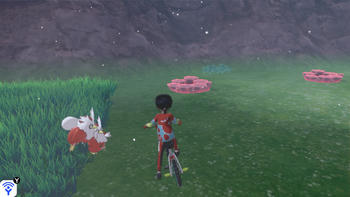 Wipfelscheinwald (9)