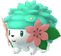 Shaymin