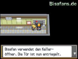 Der Eingang zum Keller