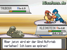 Falk und sein Tauboga