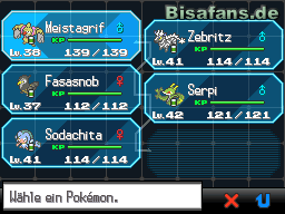 Mein aktuelles Team