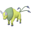 Schillendes Tauros