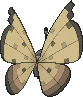 Vivillon Sandmuster