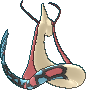 Milotic ♀