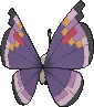 Vivillon Prunkmuster