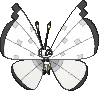 Vivillon Frostmuster