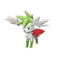 Shaymin Zenitform