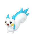 Pachirisu ♀