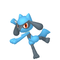 Riolu