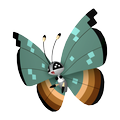 Vivillon Dschungelmuster