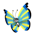 Vivillon Savannenmuster