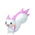 Pachirisu