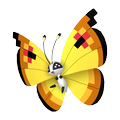 Vivillon Kontinentalmuster