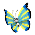 Vivillon Savannenmuster