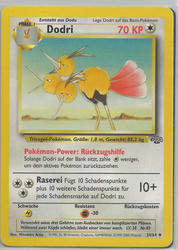 Dschungel 34/64 Dodri