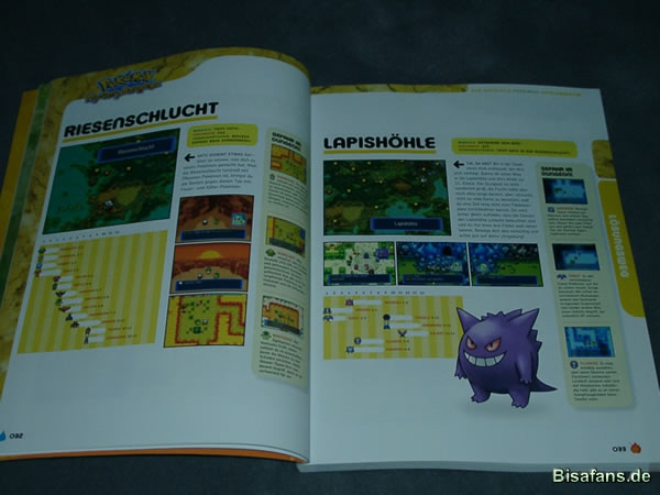 Pokémon Mystery Dungeon-Lösungsbuch 