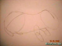 Zeichenkurs Igelavar - Schritt 4