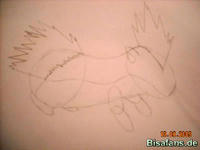 Zeichenkurs Igelavar - Schritt 7