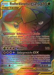 Welten im Wandel 249/236 Bisaflor & Serpifeu TAG TEAM GX