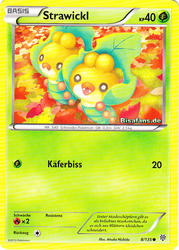 Plasma-Sturm 8/135 Strawickl