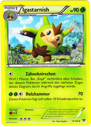 XY-Basisset 13/146 Igastarnish