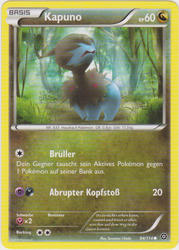 Dampfkessel 84/114 Kapuno