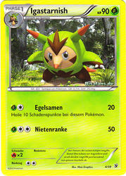 Willkommen in Kalos 4/39 Igastarnish