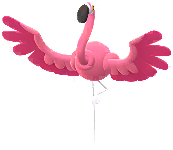 Flaminkno