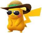 Shiny Sommerhut