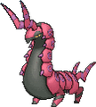 Cerapendra