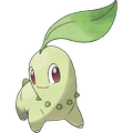 Endivie