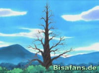 Screenshot  Screenshot