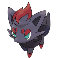 Zorua Zorua