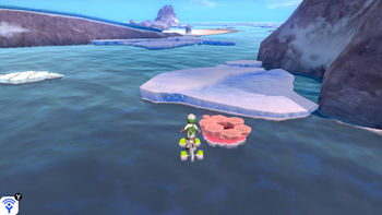 Schollenmeer (240) Schollenmeer (240)