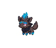 Zorua Zorua