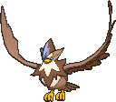 Staraptor Staraptor