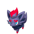 Zorua Zorua