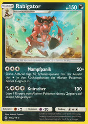 Kräfte im Einklang 116/214 Rabigator